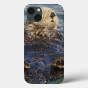 サプライズインレットで氷山の上で遊ぶラッコ iPhone 13ケース