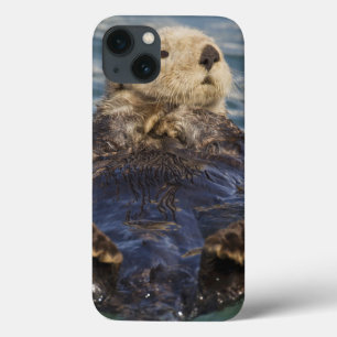 サプライズインレットで氷山の上で遊ぶラッコ iPhone 13ケース