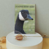 サプライズカナダガチョウ フォト バースデー カード