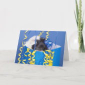 サプライズギニア豚グリーティングカード カード (正面)