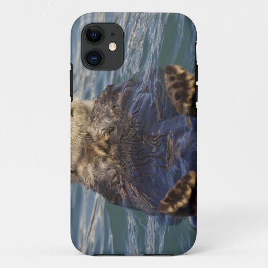 サプライズ入り江の氷山で遊ぶラッコ Case-Mate iPhoneケース (裏面)