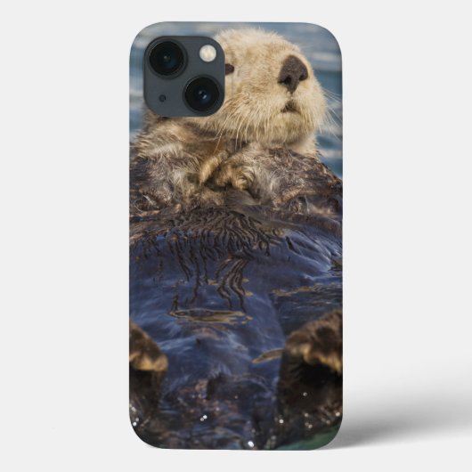 サプライズ入り江の氷山で遊ぶラッコ Case-Mate iPhoneケース (裏面)