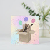 サプライズ誕生日パーティー猫in box カード (スタンド正面)