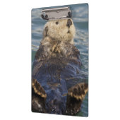 サプライズ遊インレットで氷山の上に海のオーター クリップボード (左)