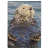 サプライズ遊インレットで氷山の上に海のオーター クリップボード (裏面)