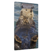 サプライズ遊インレットで氷山の上に海のオーター クリップボード (右)