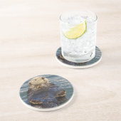 サプライズ遊インレットで氷山の上に海のオーター コースター (側面)