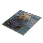 サプライズ遊インレットで氷山の上に海のオーター タイル (側面)