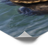 サプライズ遊インレットで氷山の上に海のオーター ポスター (角)