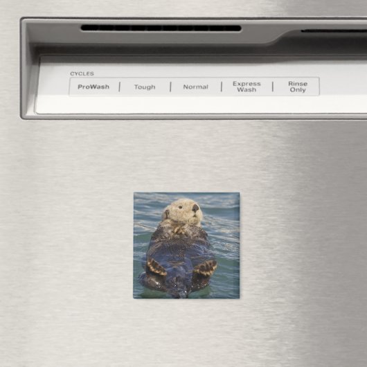 サプライズ遊インレットで氷山の上に海のオーター マグネット (インサイチュ (食洗機))