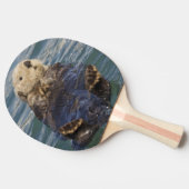 サプライズ遊インレットで氷山の上に海のオーター 卓球ラケット (横)