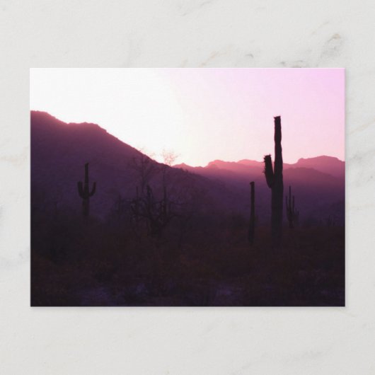 サプライズ・アリゾナの夕日のポストカード ポストカード (正面)