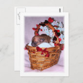 サプライズ ポストカード (正面/裏面)