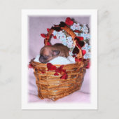 サプライズ ポストカード (正面)