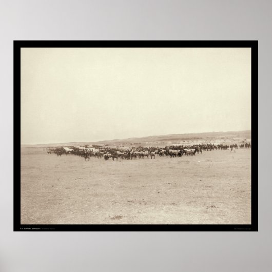 サプライワゴン&パックミュールSD 1887 ポスター (正面)