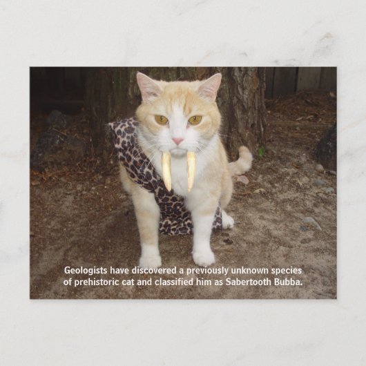 サベルティースババ ポストカード (正面)