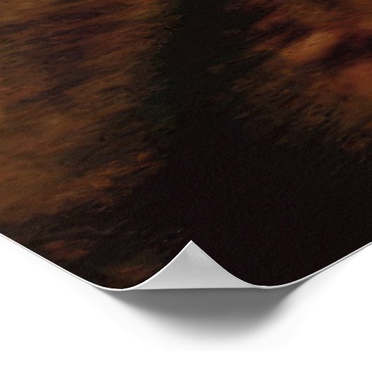 サベルティータイガー ポスター (角)