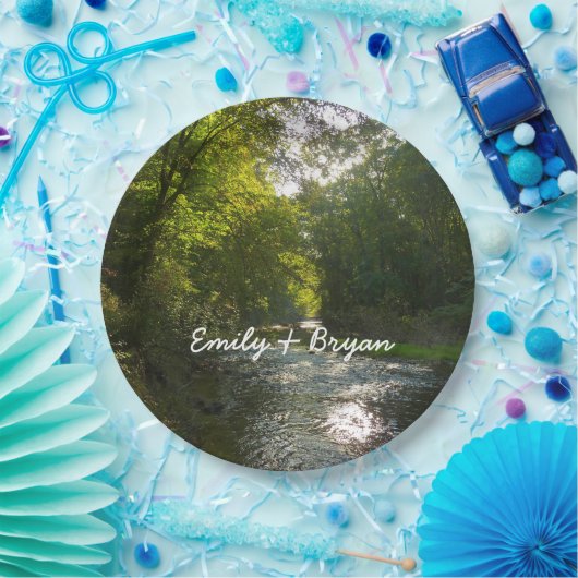 サベージパークのリトルパトゥキシェント川 ペーパープレート (パーティー)