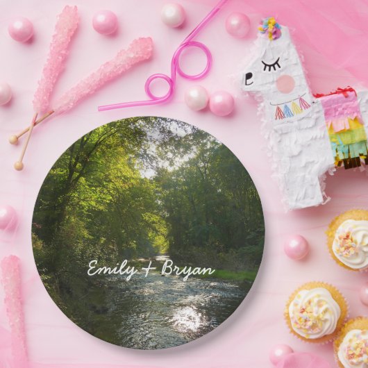 サベージパークのリトルパトゥキシェント川 ペーパープレート (パーティー)