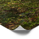 サベージパークのリトルパトゥキシェント川 ポスター (角)