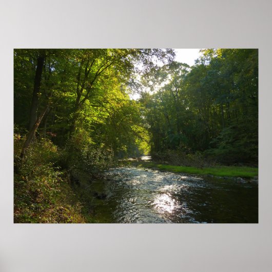 サベージパークのリトルパトゥキシェント川 ポスター (正面)