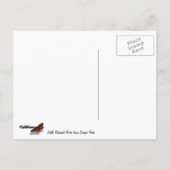 サベージパークのリトルパトゥキシェント川 ポストカード (裏面)