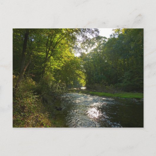 サベージパークのリトルパトゥキシェント川 ポストカード (正面)