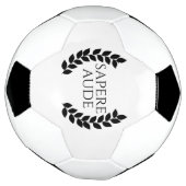 サペレオーデ サッカーボール (回転)