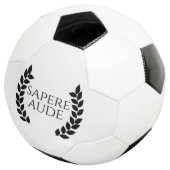 サペレオーデ サッカーボール (3/4)