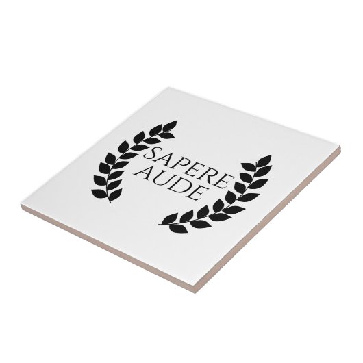 サペレオーデ タイル (側面)