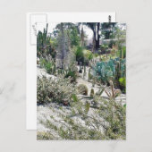 サボスガーデンアットバルボアパーク ポストカード (正面/裏面)