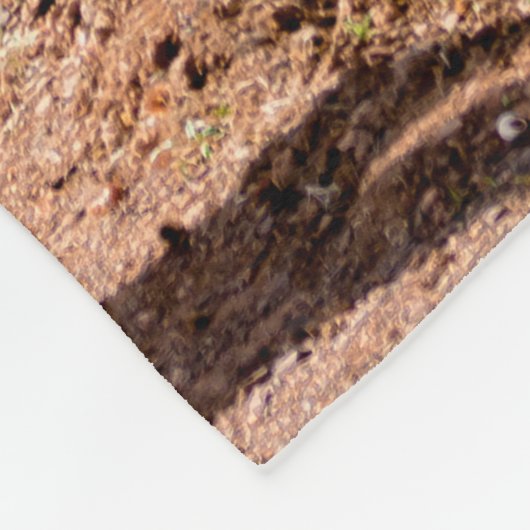 サボティの庭。緑の丈の高いサボテンと多汁の植物が育つ フリースブランケット (角)