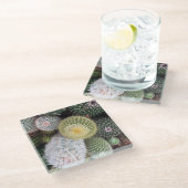 サボティガラスのコースター ガラスコースター (アングル)