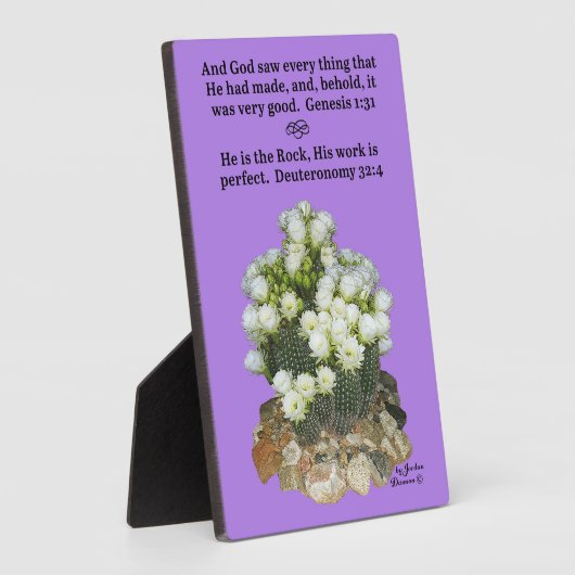 サボテンかわいらし聖なる書物、 経典プラーク創世記1:31と フォトプラーク (側面)