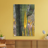 サボテンとアガベのクローズアップ キャンバスプリント (インサイチュ (リビング))