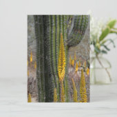 サボテンとアガベのクローズアップ サンキューカード (スタンド正面)