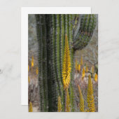 サボテンとアガベのクローズアップ サンキューカード (正面/裏面)