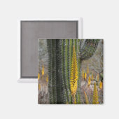 サボテンとアガベのクローズアップ マグネット (正面/裏面)