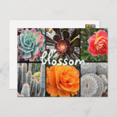 サボテンとバラ写真コラージュ花引用文 ポストカード (正面/裏面)