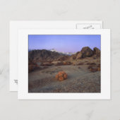 『サボテンとビュー』 – 広角 ポストカード (正面/裏面)