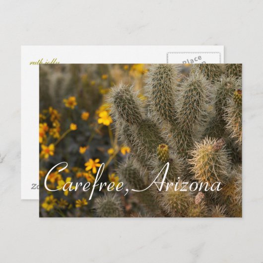 サボテンとワイルドフラワー気には無料，アリゾナ ポストカード (正面/裏面)