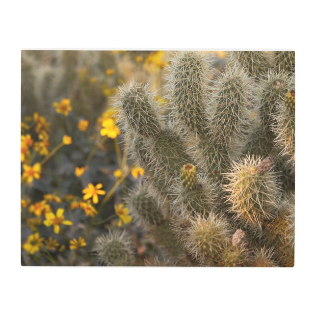 サボテンとワイルドフラワー メタルプリント (正面)
