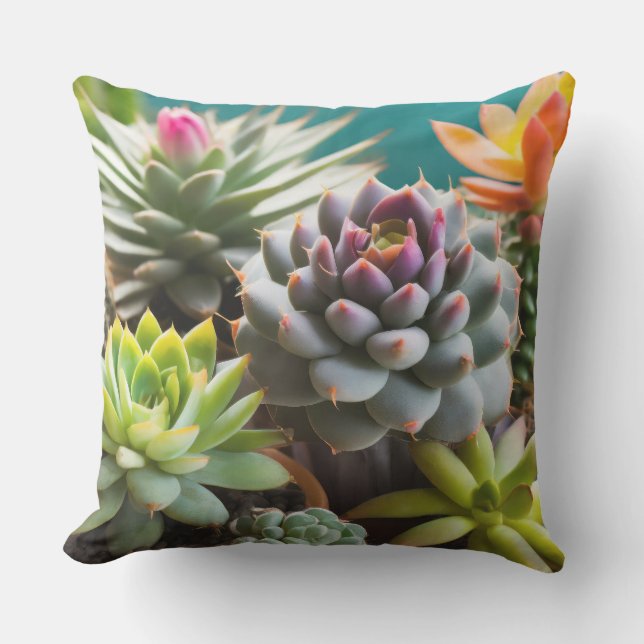 サボテンと多肉株のグループ アウトドアクッション (正面)