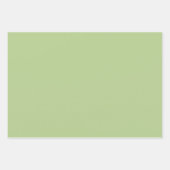 サボテンと多肉植物の不思議の国 ラッピングペーパーシート (正面3)