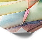 サボテンと多肉質 ポスター (角)