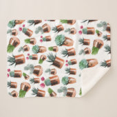 サボテンと多肉類のバラ金ゴールドポット シェルパブランケット (正面(横))