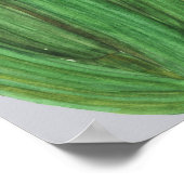 サボテンと花、水の色のシームレス絵を描な。 ポスター (角)