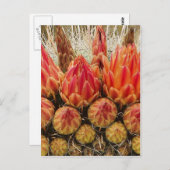 サボテンによっては012jが開花します ポストカード (正面/裏面)