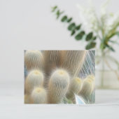 サボテンのカラーライン ポストカード (スタンド正面)