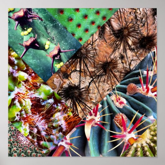 サボテンのコラージュのポスター ポスター (正面)